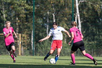 Bild 210 - wBJ HSV - SV Meppen : Ergebnis: 0:2